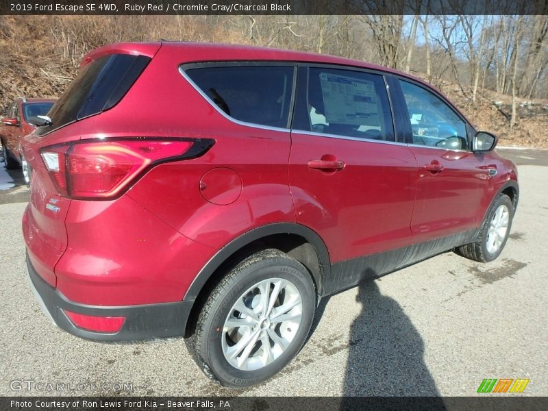 Ruby Red / Chromite Gray/Charcoal Black 2019 Ford Escape SE 4WD