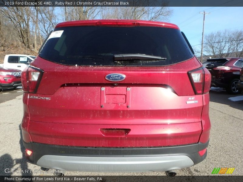 Ruby Red / Chromite Gray/Charcoal Black 2019 Ford Escape SE 4WD