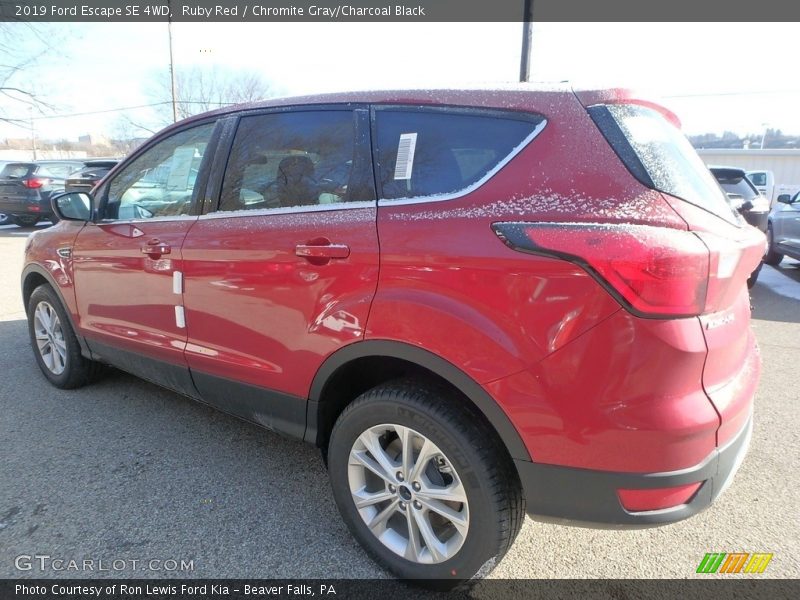 Ruby Red / Chromite Gray/Charcoal Black 2019 Ford Escape SE 4WD