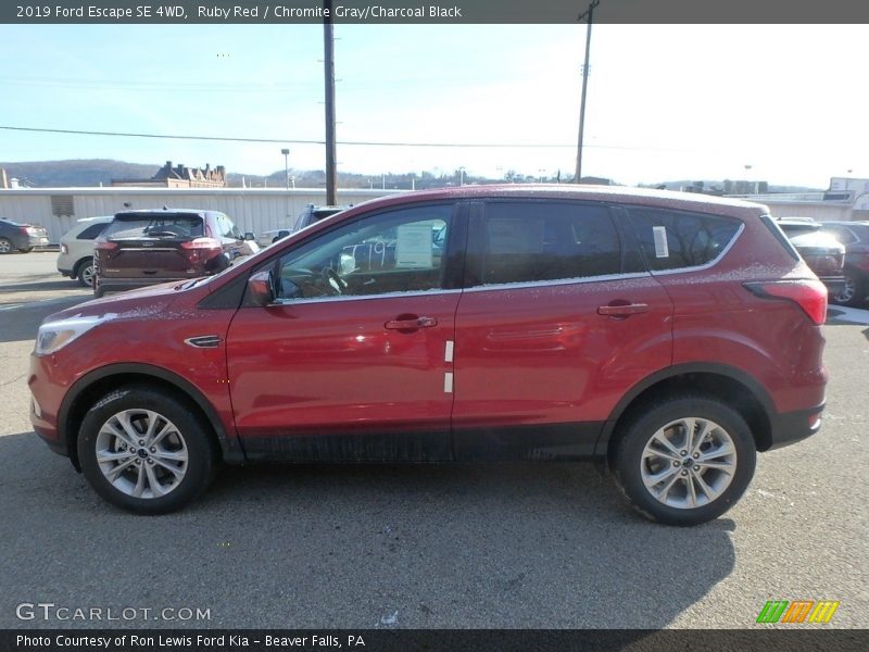 Ruby Red / Chromite Gray/Charcoal Black 2019 Ford Escape SE 4WD