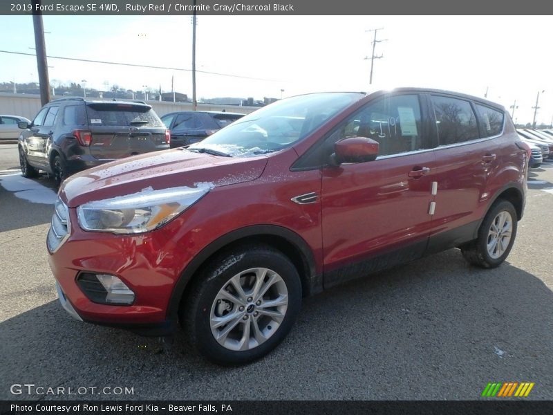 Ruby Red / Chromite Gray/Charcoal Black 2019 Ford Escape SE 4WD