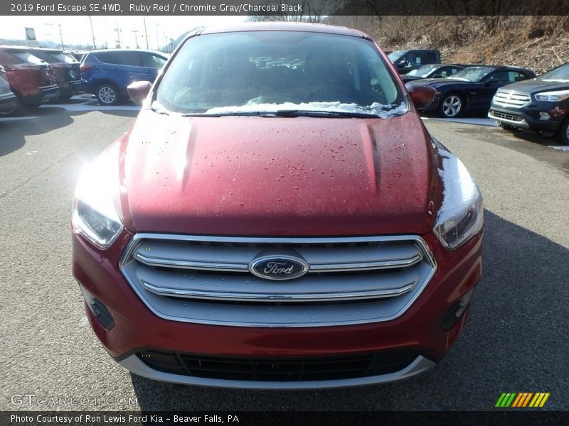 Ruby Red / Chromite Gray/Charcoal Black 2019 Ford Escape SE 4WD