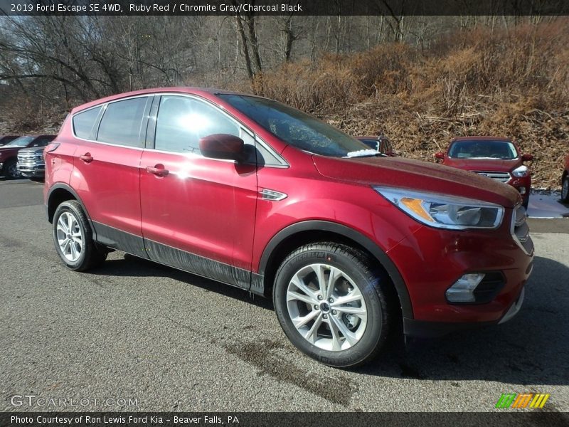 Ruby Red / Chromite Gray/Charcoal Black 2019 Ford Escape SE 4WD