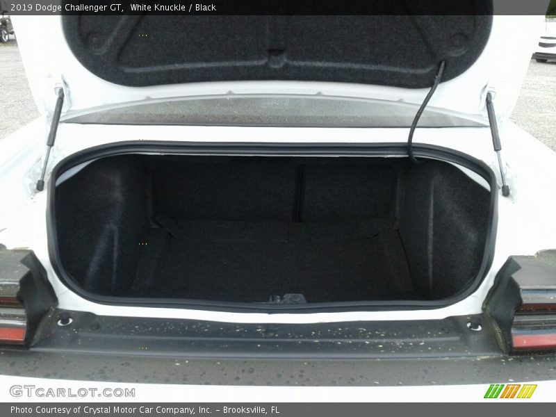 White Knuckle / Black 2019 Dodge Challenger GT