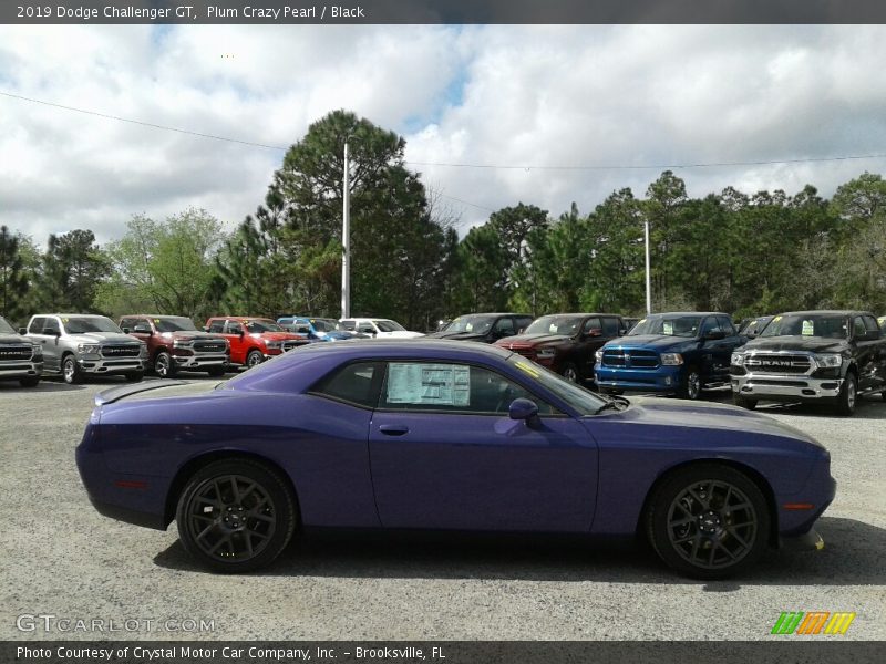 Plum Crazy Pearl / Black 2019 Dodge Challenger GT