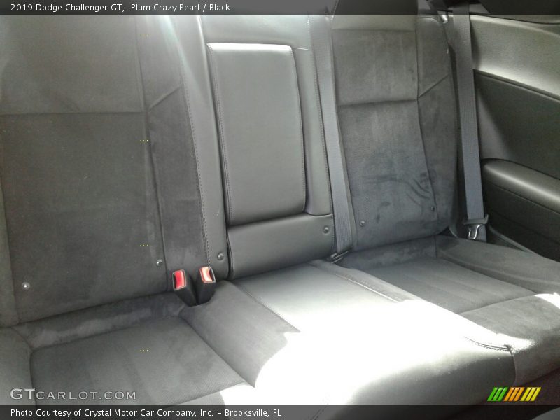 Plum Crazy Pearl / Black 2019 Dodge Challenger GT