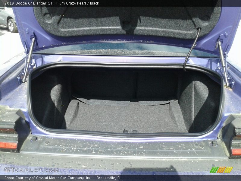 Plum Crazy Pearl / Black 2019 Dodge Challenger GT