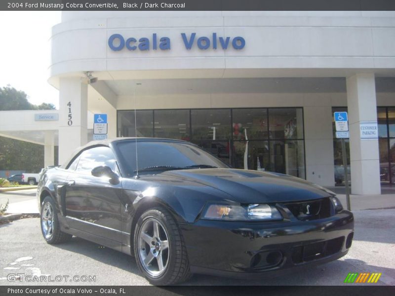 Black / Dark Charcoal 2004 Ford Mustang Cobra Convertible