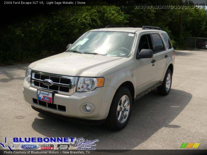 Light Sage Metallic / Stone 2009 Ford Escape XLT V6