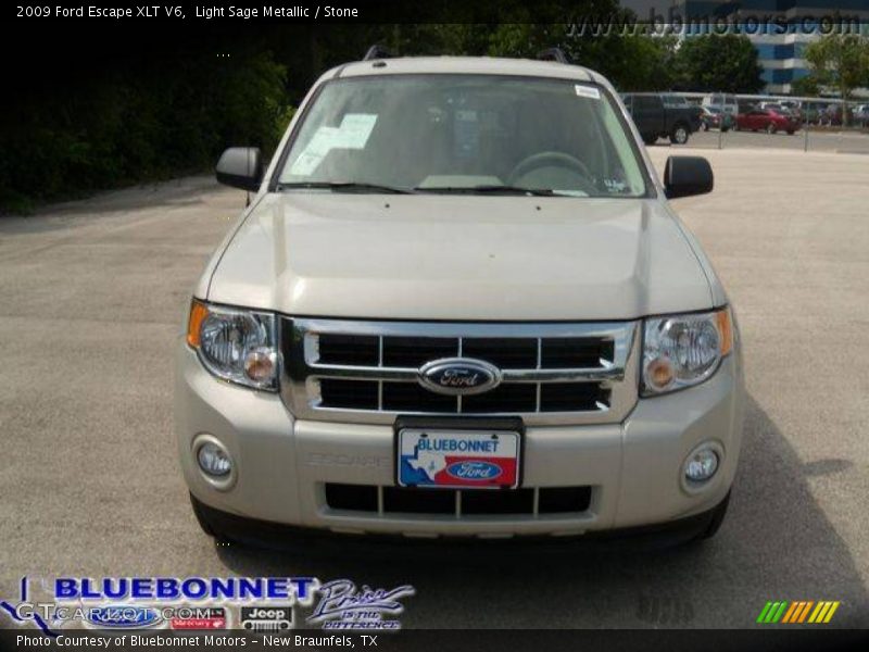 Light Sage Metallic / Stone 2009 Ford Escape XLT V6