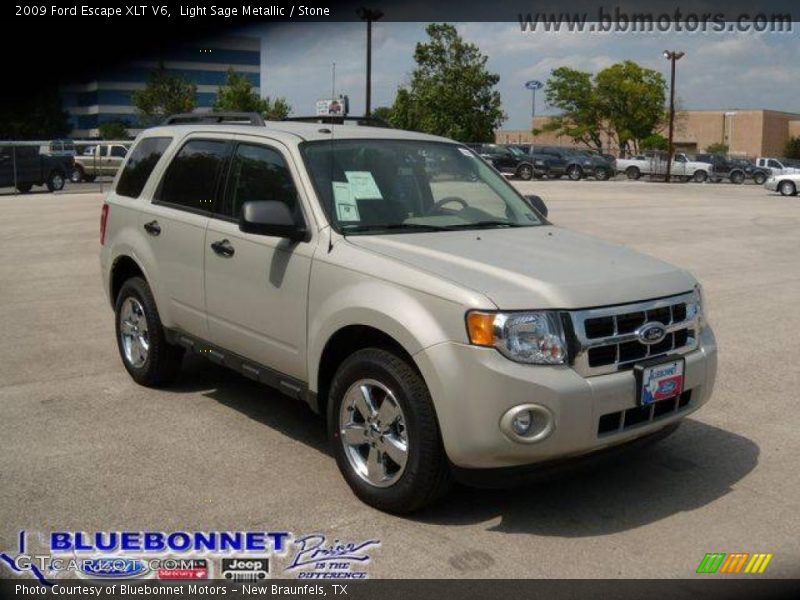 Light Sage Metallic / Stone 2009 Ford Escape XLT V6