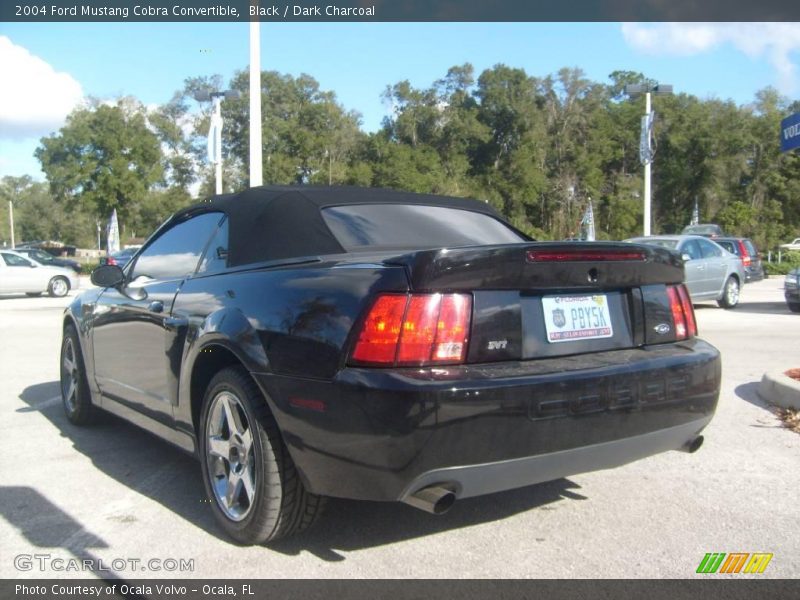Black / Dark Charcoal 2004 Ford Mustang Cobra Convertible