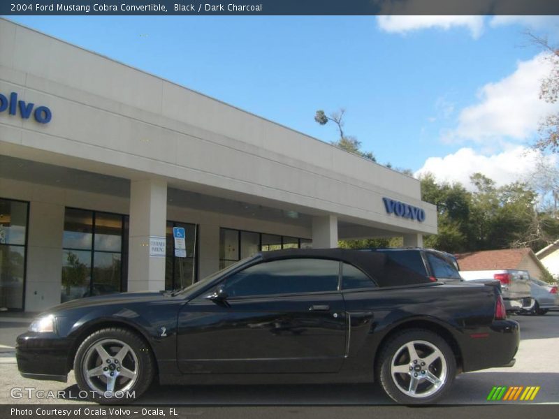 Black / Dark Charcoal 2004 Ford Mustang Cobra Convertible