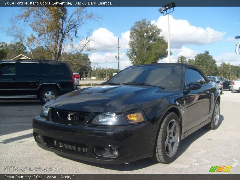 Black / Dark Charcoal 2004 Ford Mustang Cobra Convertible