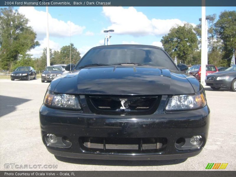 Black / Dark Charcoal 2004 Ford Mustang Cobra Convertible