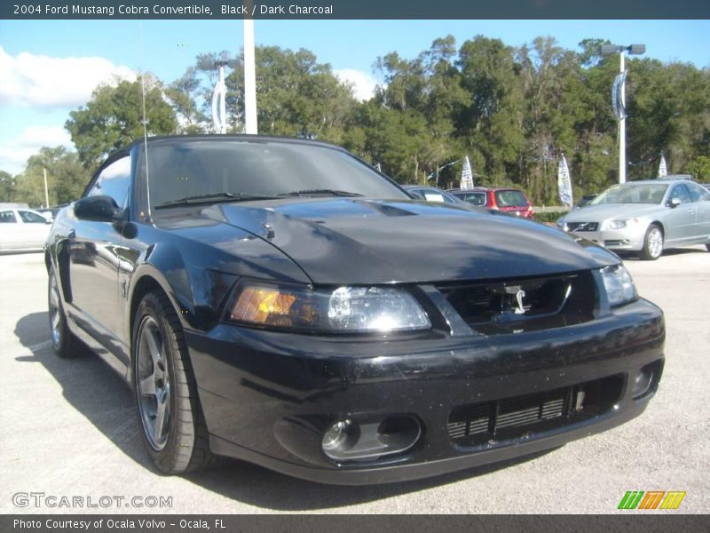 Black / Dark Charcoal 2004 Ford Mustang Cobra Convertible