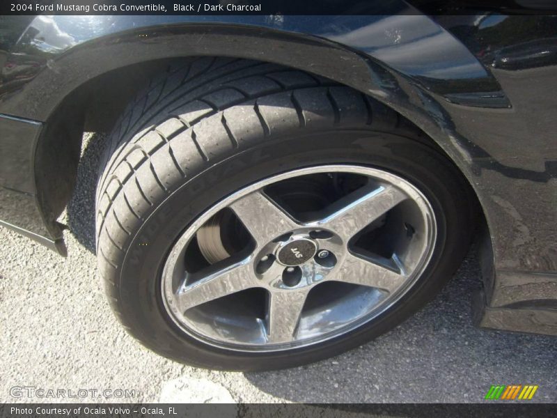 Black / Dark Charcoal 2004 Ford Mustang Cobra Convertible