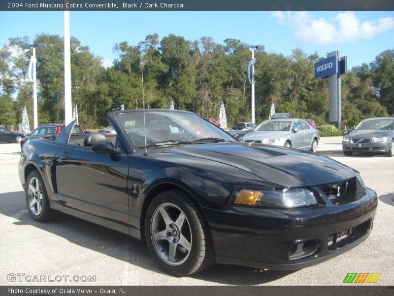 Black / Dark Charcoal 2004 Ford Mustang Cobra Convertible