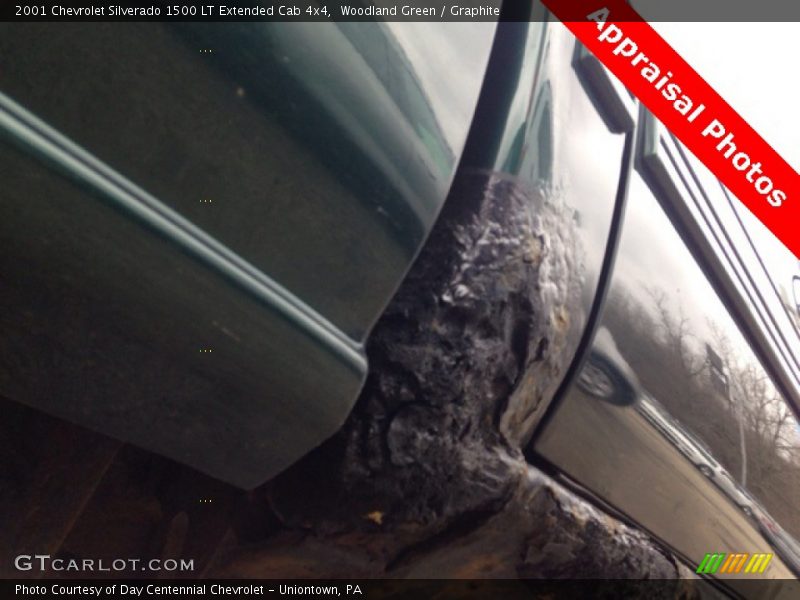 Woodland Green / Graphite 2001 Chevrolet Silverado 1500 LT Extended Cab 4x4