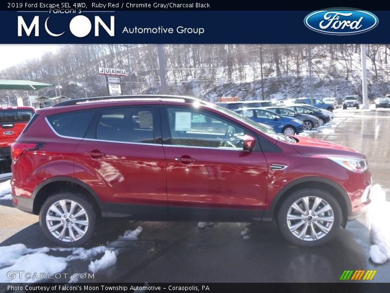 Ruby Red / Chromite Gray/Charcoal Black 2019 Ford Escape SEL 4WD