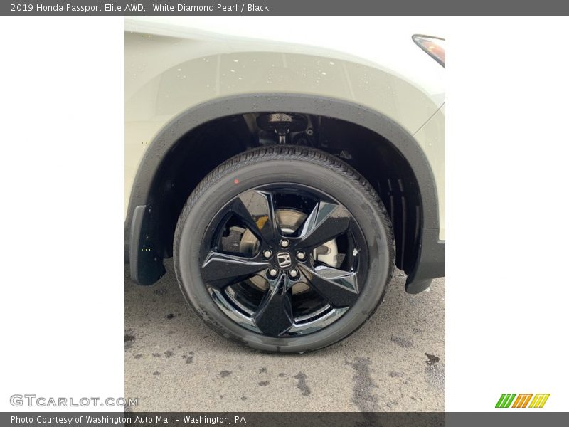 White Diamond Pearl / Black 2019 Honda Passport Elite AWD