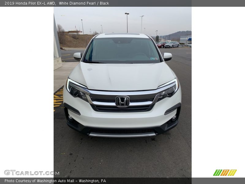 White Diamond Pearl / Black 2019 Honda Pilot EX-L AWD
