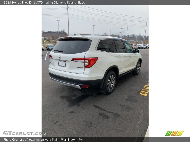 White Diamond Pearl / Black 2019 Honda Pilot EX-L AWD