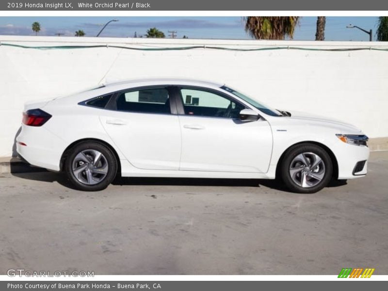 White Orchid Pearl / Black 2019 Honda Insight LX