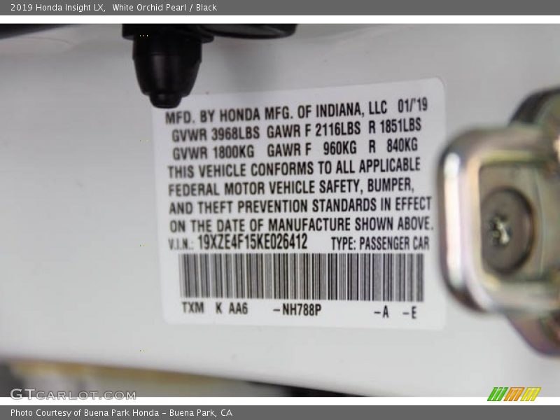 White Orchid Pearl / Black 2019 Honda Insight LX