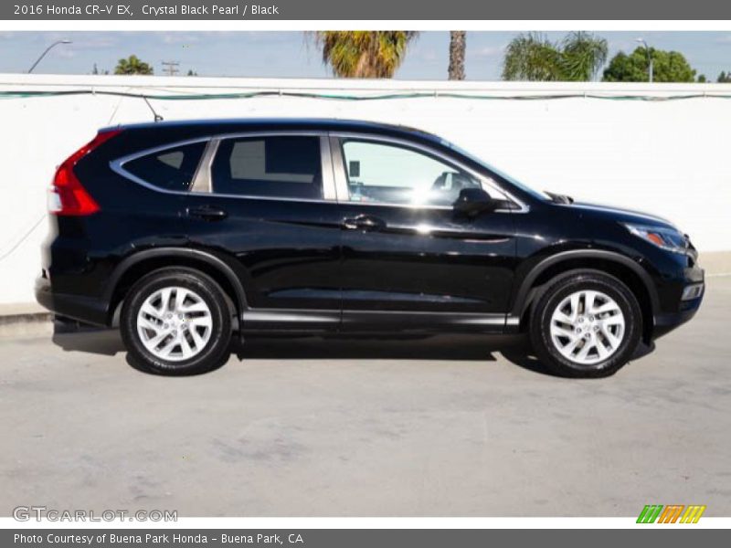 Crystal Black Pearl / Black 2016 Honda CR-V EX