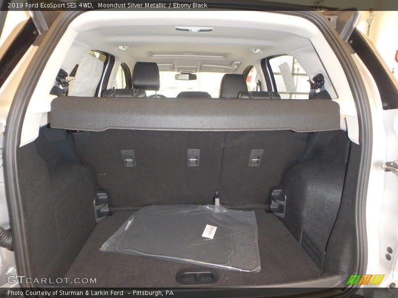 Moondust Silver Metallic / Ebony Black 2019 Ford EcoSport SES 4WD