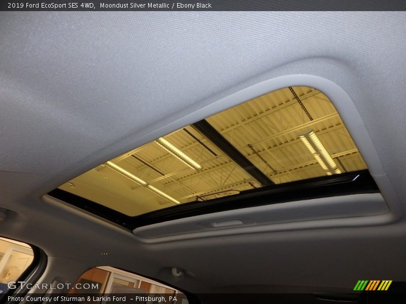 Moondust Silver Metallic / Ebony Black 2019 Ford EcoSport SES 4WD