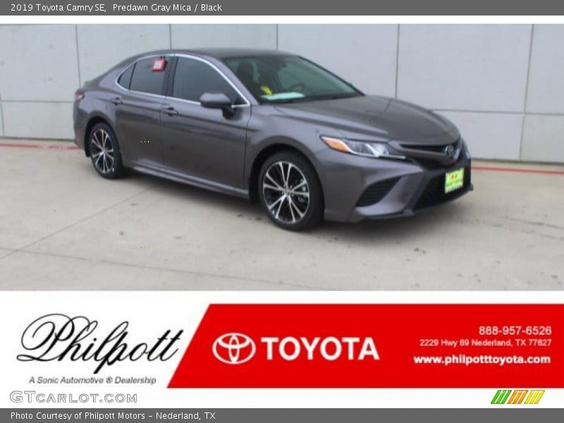 Predawn Gray Mica / Black 2019 Toyota Camry SE