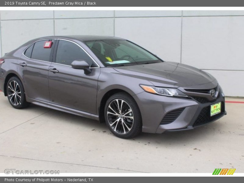 Predawn Gray Mica / Black 2019 Toyota Camry SE