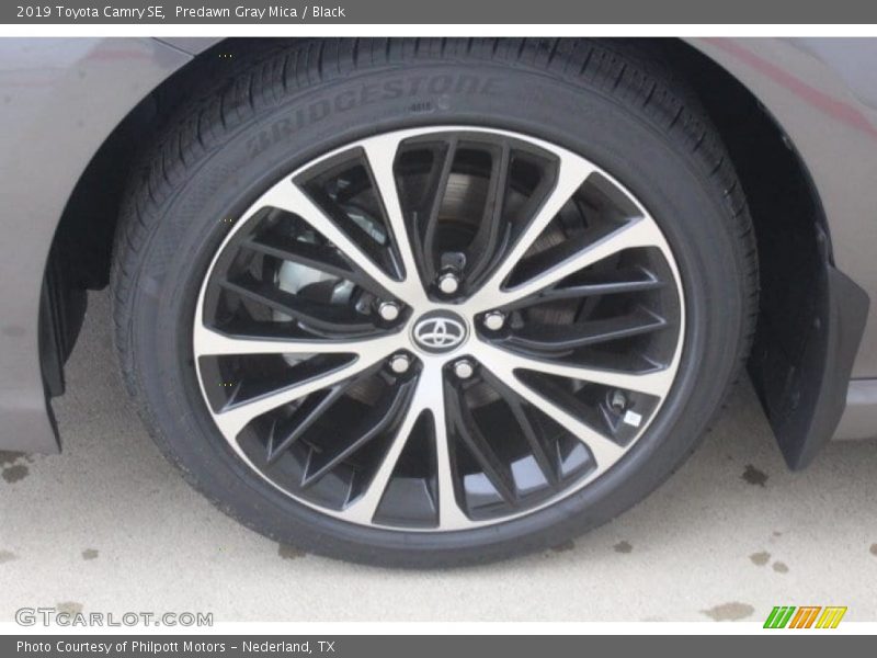 Predawn Gray Mica / Black 2019 Toyota Camry SE