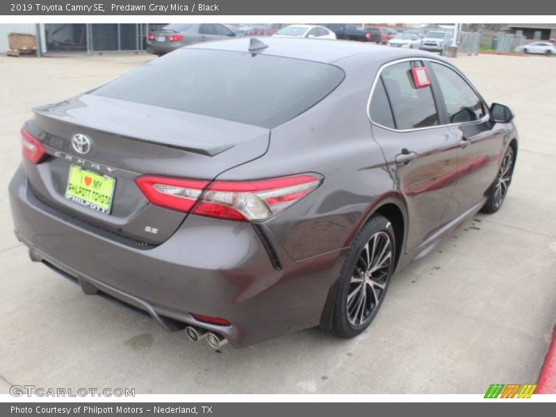 Predawn Gray Mica / Black 2019 Toyota Camry SE