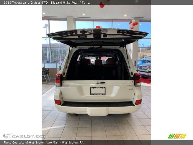 Blizzard White Pearl / Terra 2019 Toyota Land Cruiser 4WD