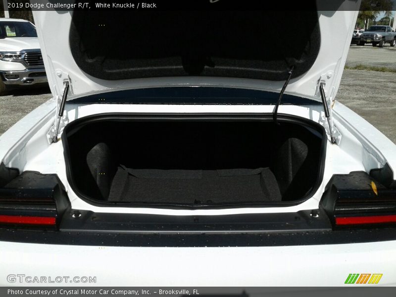 White Knuckle / Black 2019 Dodge Challenger R/T