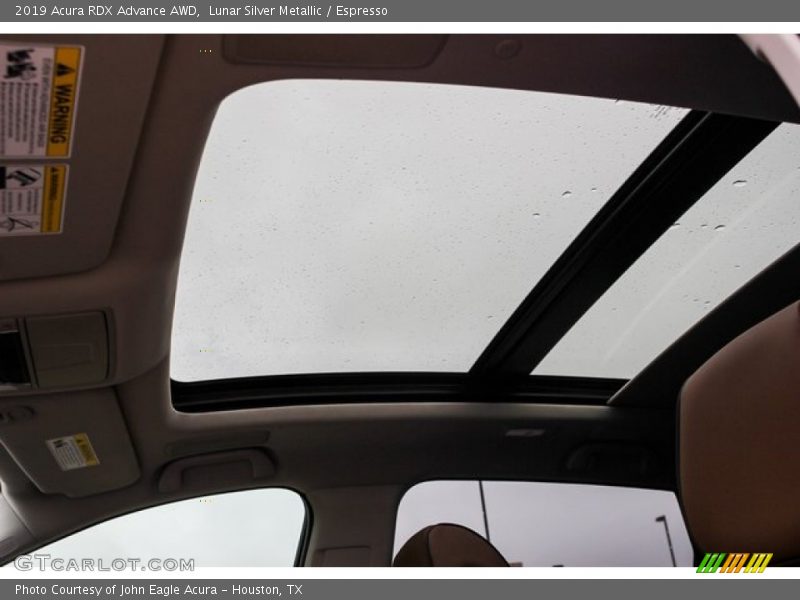 Lunar Silver Metallic / Espresso 2019 Acura RDX Advance AWD