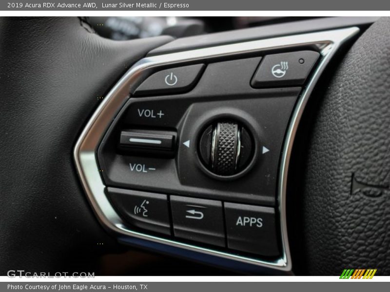 Lunar Silver Metallic / Espresso 2019 Acura RDX Advance AWD