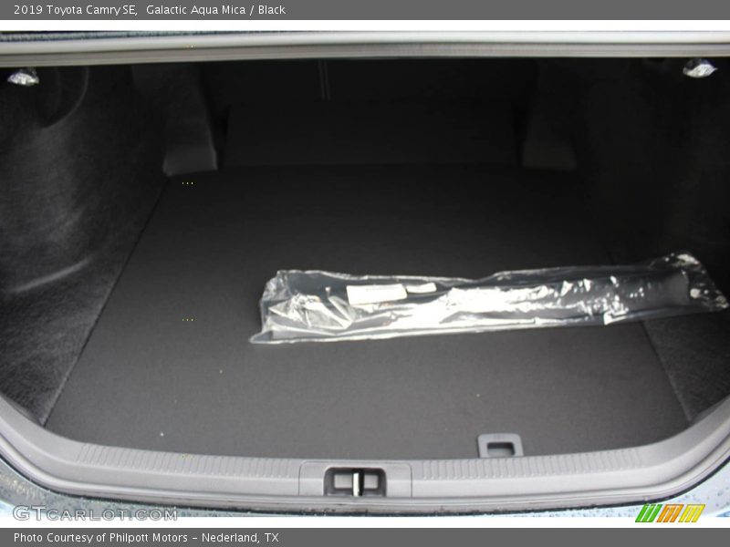 Galactic Aqua Mica / Black 2019 Toyota Camry SE