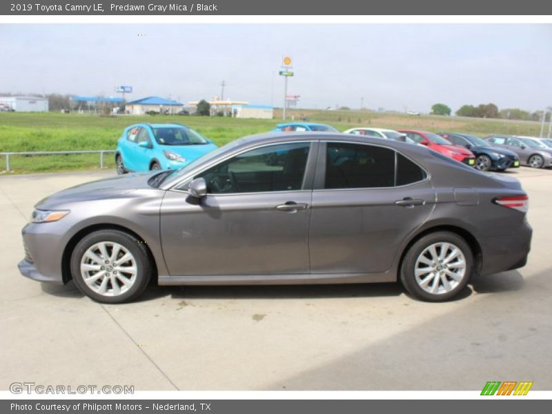 Predawn Gray Mica / Black 2019 Toyota Camry LE