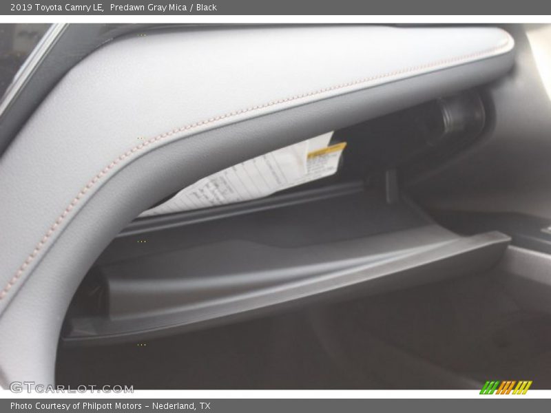 Predawn Gray Mica / Black 2019 Toyota Camry LE
