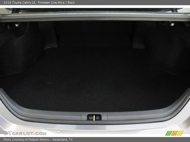 Predawn Gray Mica / Black 2019 Toyota Camry LE