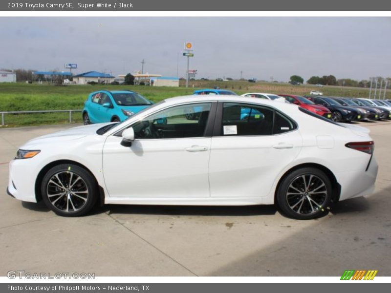 Super White / Black 2019 Toyota Camry SE