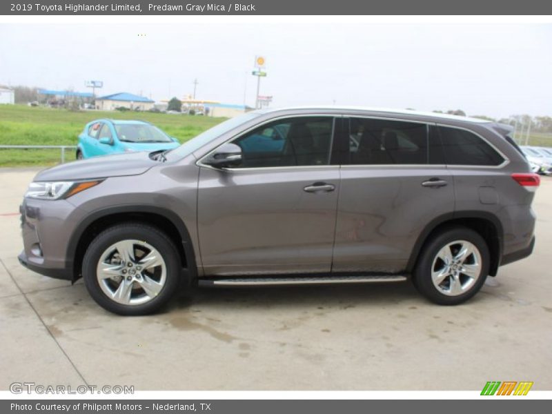 Predawn Gray Mica / Black 2019 Toyota Highlander Limited