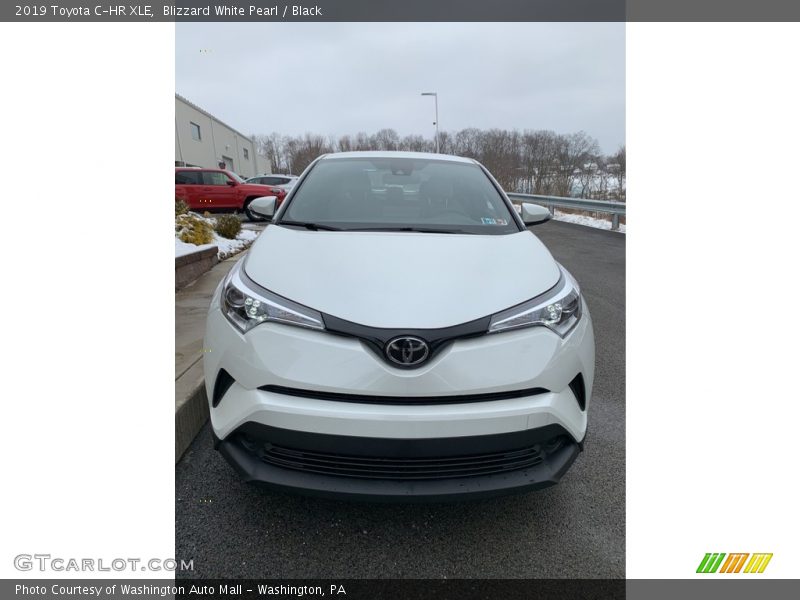 Blizzard White Pearl / Black 2019 Toyota C-HR XLE