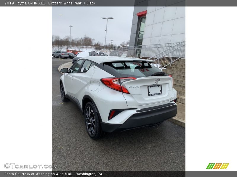 Blizzard White Pearl / Black 2019 Toyota C-HR XLE