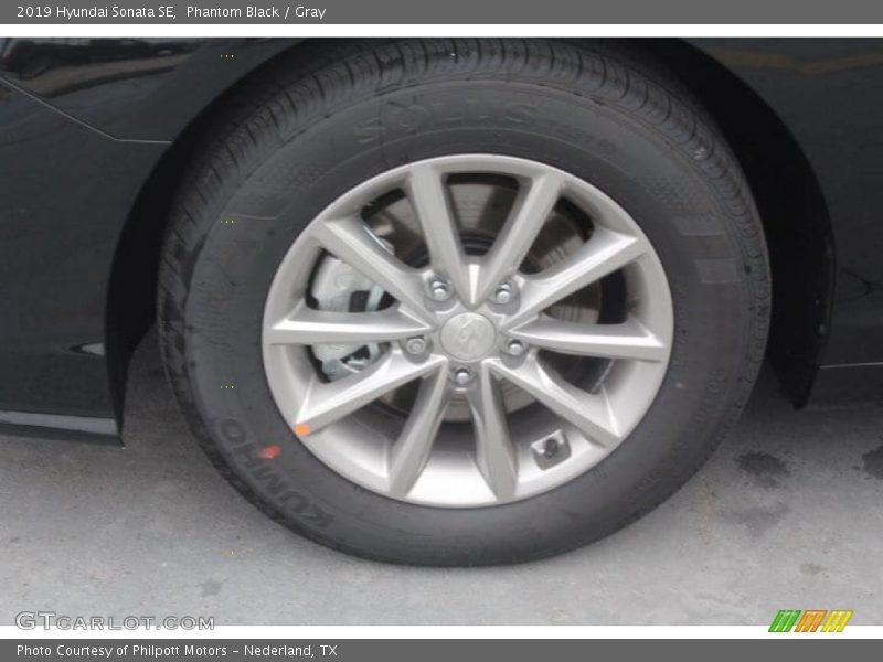 Phantom Black / Gray 2019 Hyundai Sonata SE