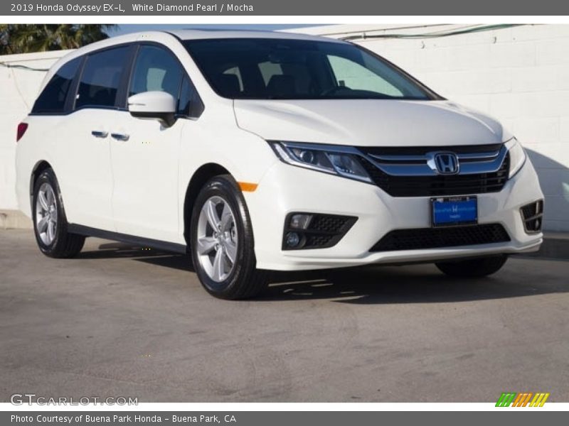 White Diamond Pearl / Mocha 2019 Honda Odyssey EX-L